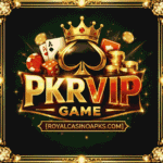 PKRVIP Game Download APK v 1.0 | Real Earning App