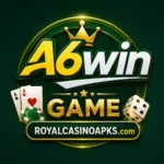 A6 Win
